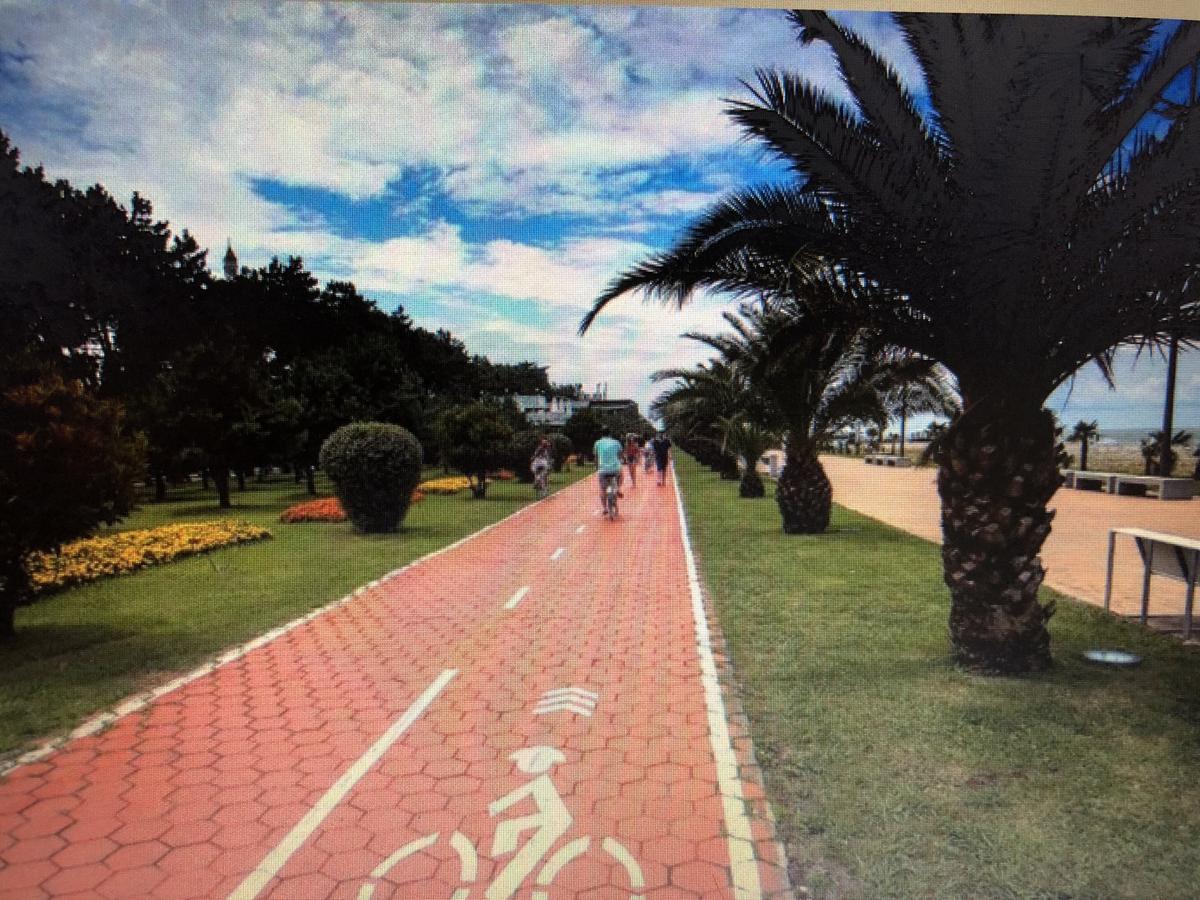 Irina Apartment 1 Batum Dış mekan fotoğraf
